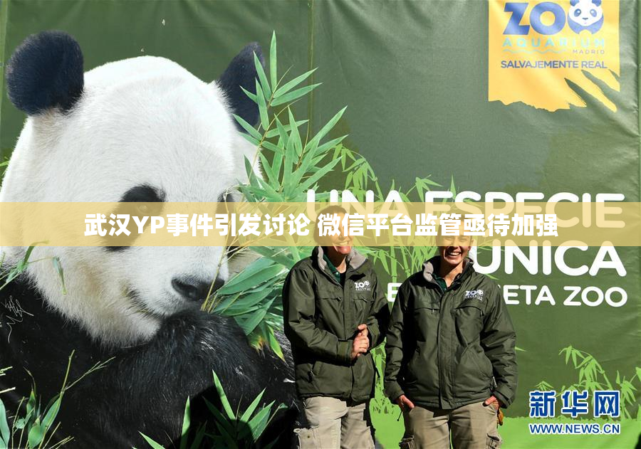 武汉YP事件引发讨论 微信平台监管亟待加强