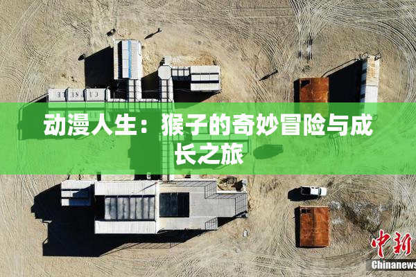 动漫人生：猴子的奇妙冒险与成长之旅