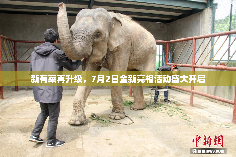 新有菜再升级，7月2日全新亮相活动盛大开启