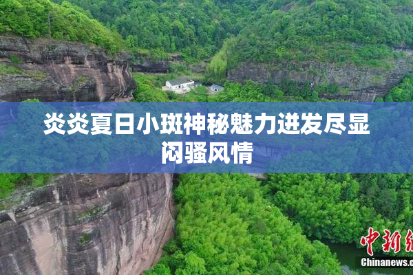 炎炎夏日小斑神秘魅力迸发尽显闷骚风情