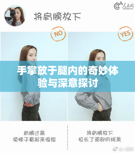 手掌放于腿内的奇妙体验与深意探讨