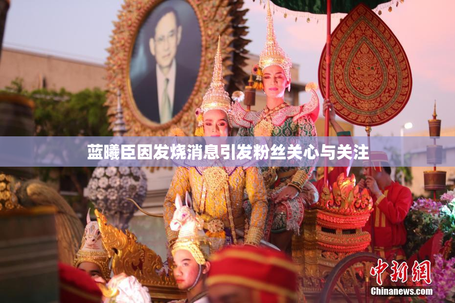 蓝曦臣因发烧消息引发粉丝关心与关注