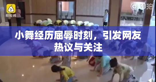 小舞经历屈辱时刻，引发网友热议与关注