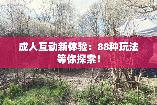 成人互动新体验：88种玩法等你探索！