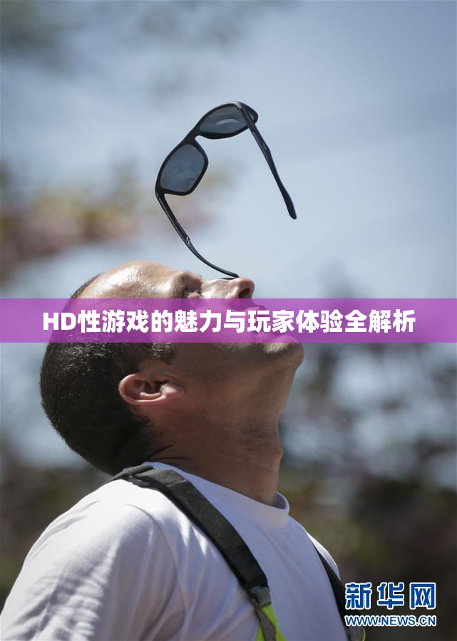 HD性游戏的魅力与玩家体验全解析