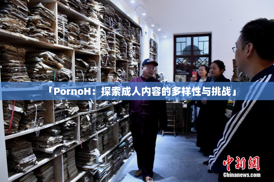 「PornoH：探索成人内容的多样性与挑战」