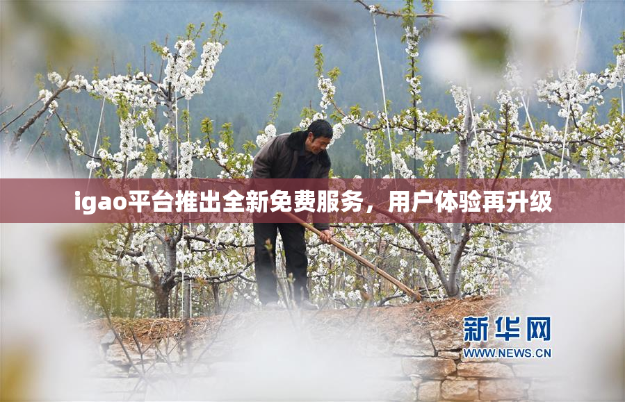 igao平台推出全新免费服务，用户体验再升级
