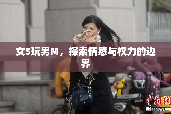 女S玩男M，探索情感与权力的边界