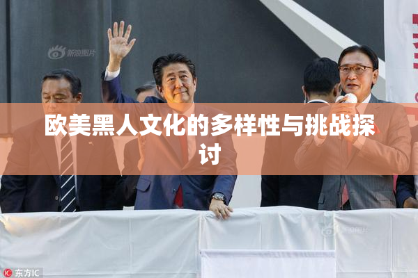 欧美黑人文化的多样性与挑战探讨
