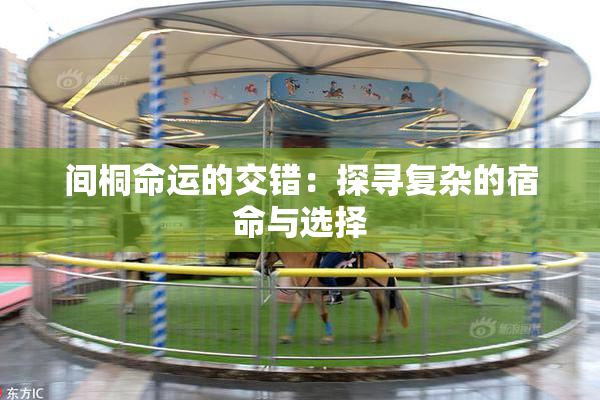 间桐命运的交错：探寻复杂的宿命与选择