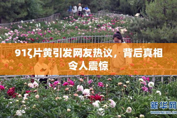 91ζ片黄引发网友热议，背后真相令人震惊