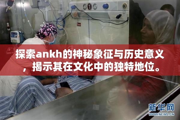 探索ankh的神秘象征与历史意义，揭示其在文化中的独特地位。