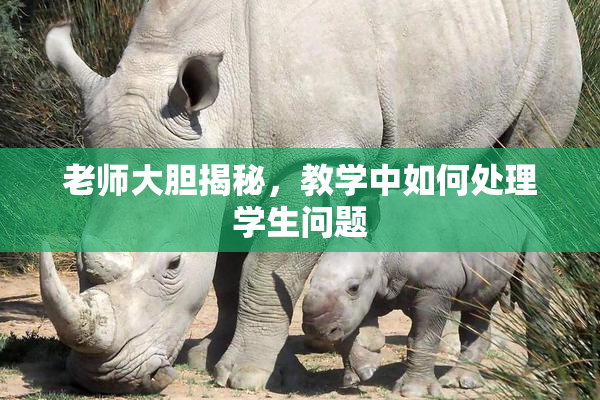 老师大胆揭秘，教学中如何处理学生问题