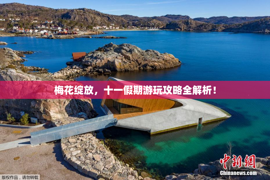 梅花绽放，十一假期游玩攻略全解析！