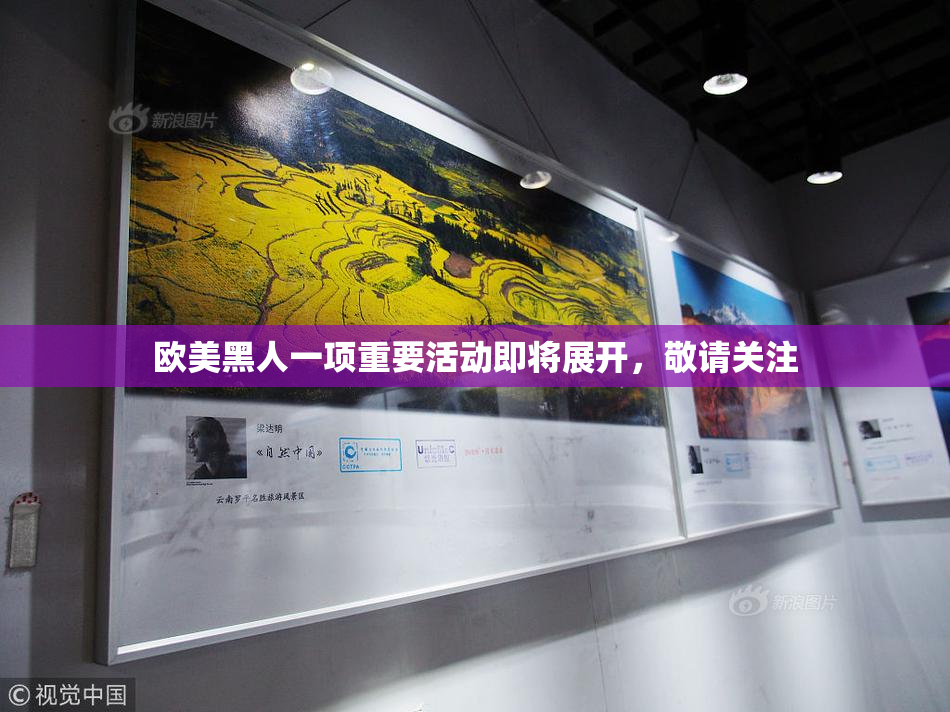欧美黑人一项重要活动即将展开，敬请关注