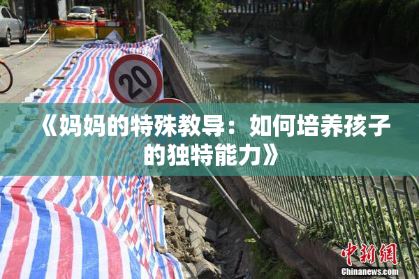 《妈妈的特殊教导：如何培养孩子的独特能力》