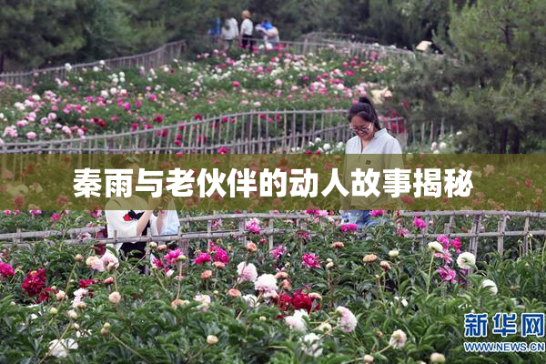 秦雨与老伙伴的动人故事揭秘