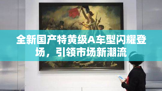 全新国产特黄级A车型闪耀登场，引领市场新潮流