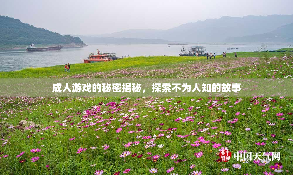 成人游戏的秘密揭秘，探索不为人知的故事