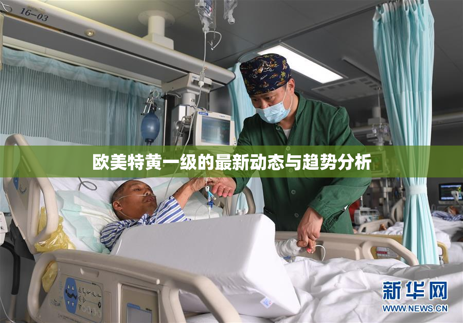 欧美特黄一级的最新动态与趋势分析