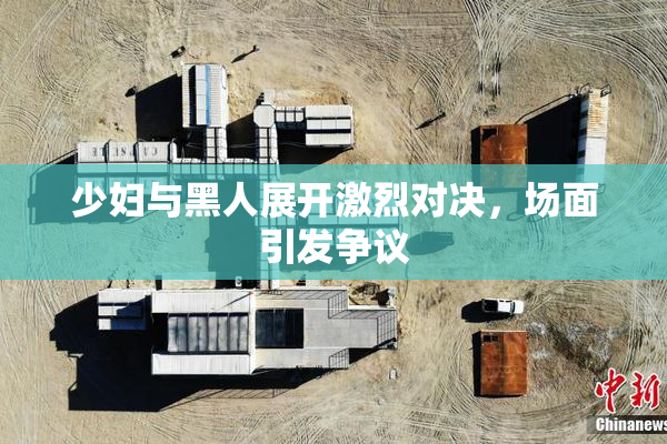 少妇与黑人展开激烈对决，场面引发争议