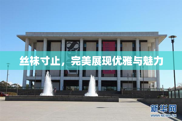 丝袜寸止，完美展现优雅与魅力