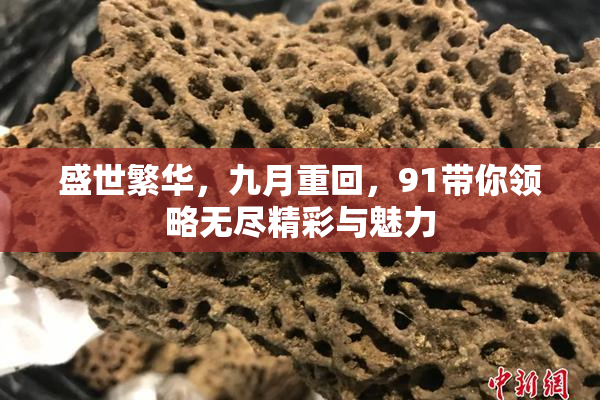 盛世繁华，九月重回，91带你领略无尽精彩与魅力