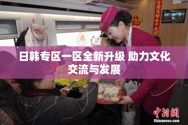 日韩专区一区全新升级 助力文化交流与发展