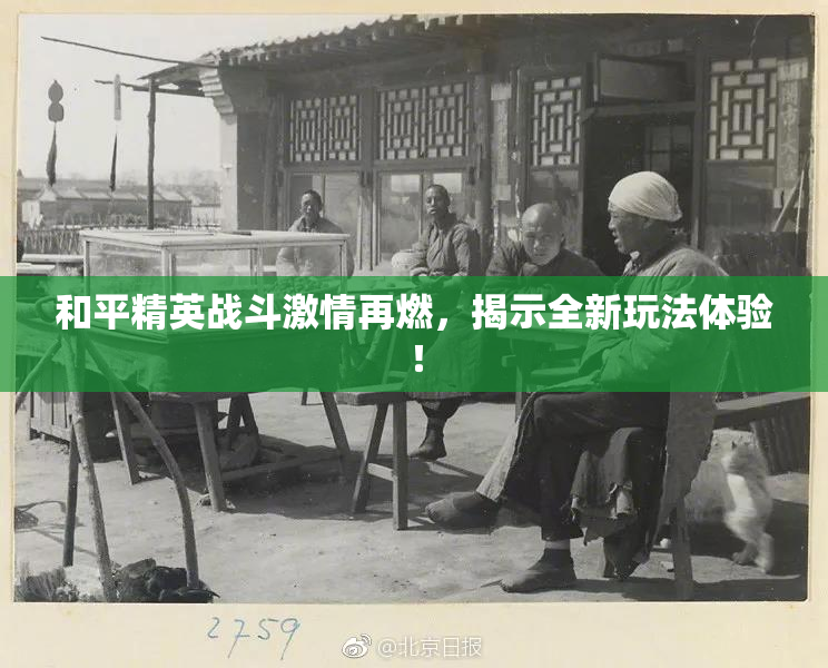和平精英战斗激情再燃，揭示全新玩法体验！