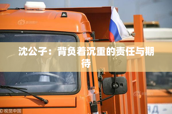 沈公子：背负着沉重的责任与期待