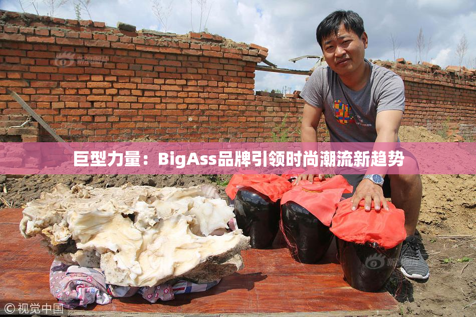 巨型力量：BigAss品牌引领时尚潮流新趋势