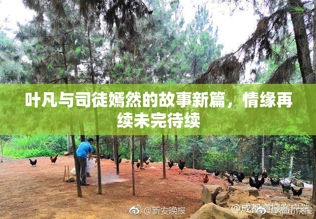 叶凡与司徒嫣然的故事新篇，情缘再续未完待续