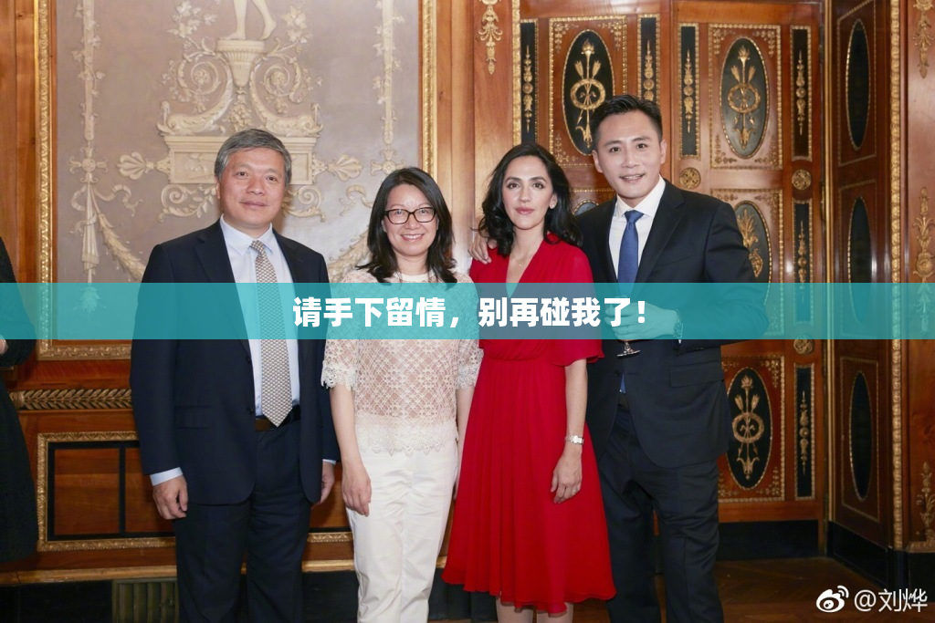 请手下留情，别再碰我了！