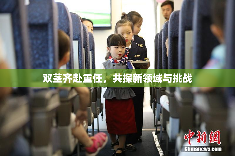 双茎齐赴重任，共探新领域与挑战