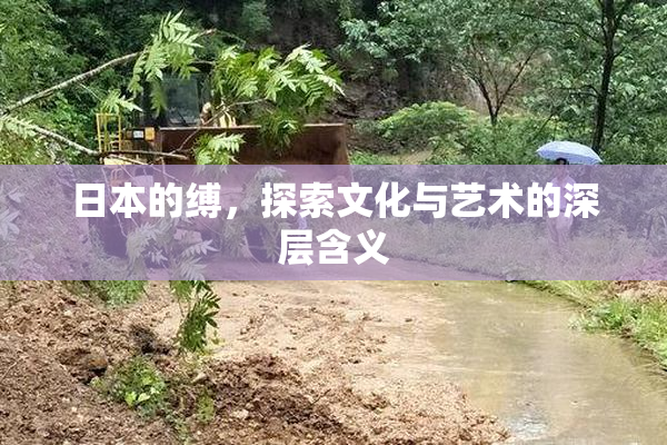 日本的缚，探索文化与艺术的深层含义