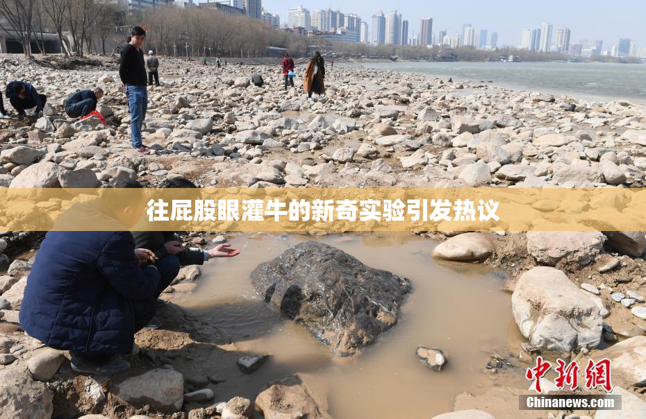 往屁股眼灌牛的新奇实验引发热议