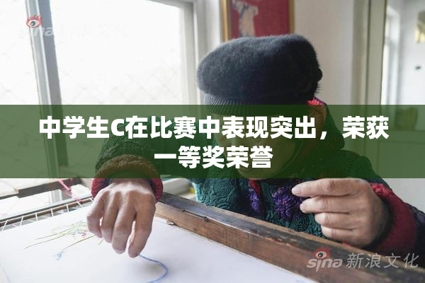 中学生C在比赛中表现突出，荣获一等奖荣誉
