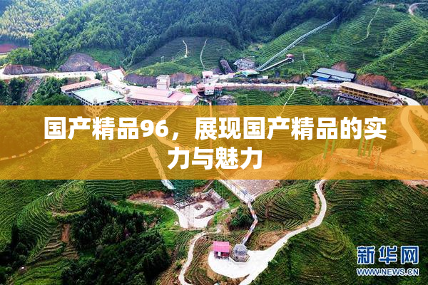 国产精品96，展现国产精品的实力与魅力