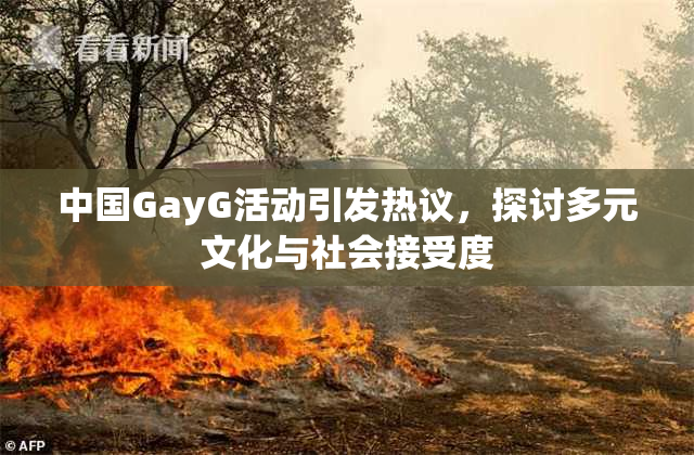 中国GayG活动引发热议，探讨多元文化与社会接受度