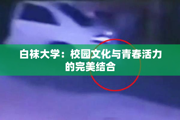 白袜大学：校园文化与青春活力的完美结合