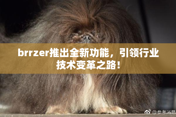 brrzer推出全新功能，引领行业技术变革之路！