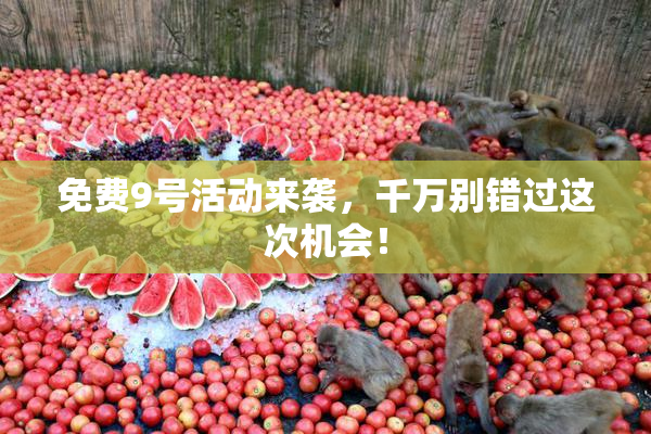 免费9号活动来袭，千万别错过这次机会！