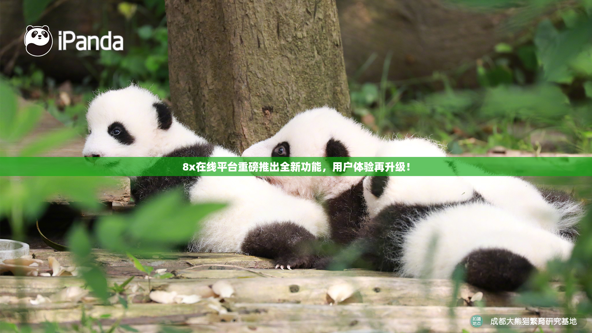 8x在线平台重磅推出全新功能，用户体验再升级！