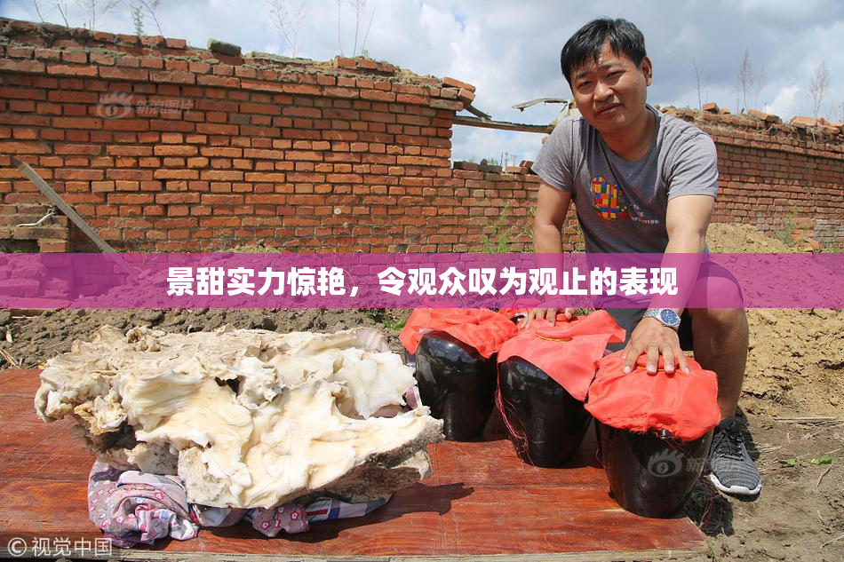 景甜实力惊艳，令观众叹为观止的表现