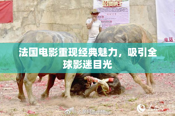 法国电影重现经典魅力，吸引全球影迷目光