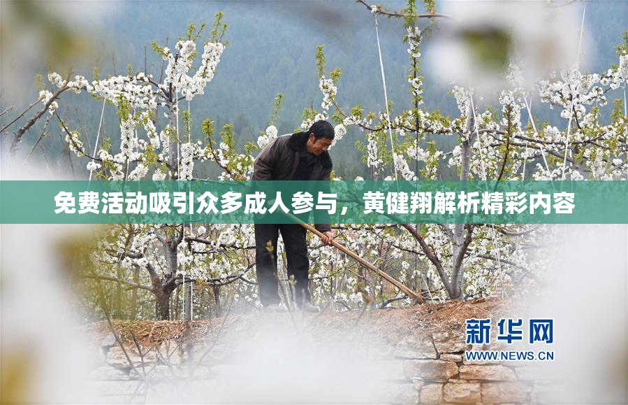免费活动吸引众多成人参与，黄健翔解析精彩内容