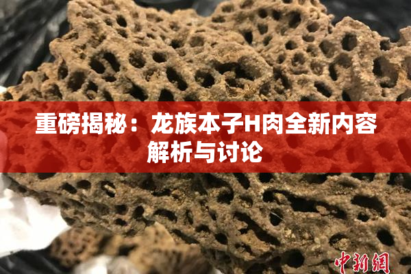 重磅揭秘：龙族本子H肉全新内容解析与讨论