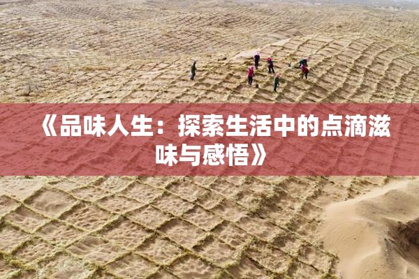 《品味人生：探索生活中的点滴滋味与感悟》