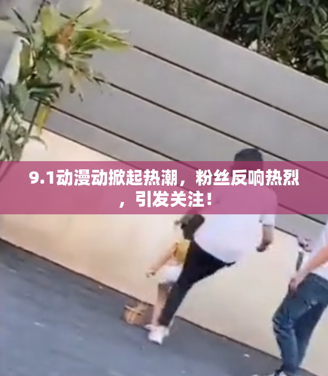 9.1动漫动掀起热潮，粉丝反响热烈，引发关注！