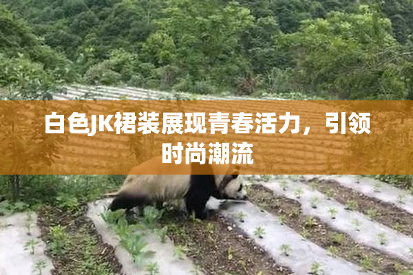 白色JK裙装展现青春活力，引领时尚潮流